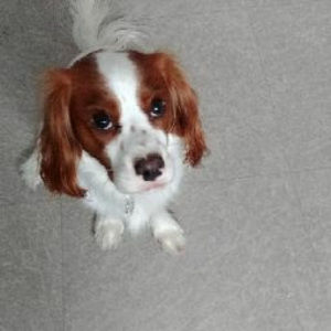 Meet your Posher, Molissa